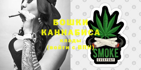 крисы Коряжма