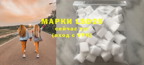 mdpv Краснослободск