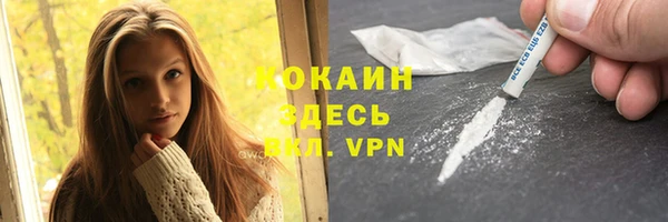 крисы Коряжма