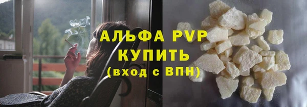 крисы Коряжма