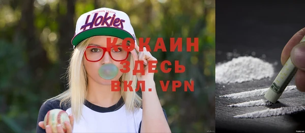 ECSTASY Костерёво