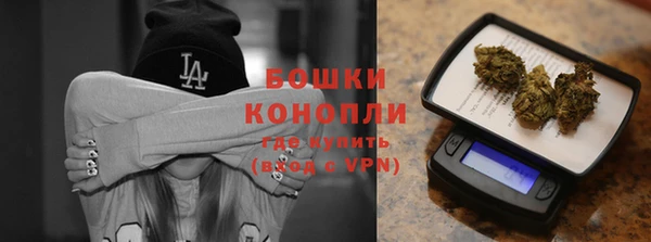 крисы Коряжма