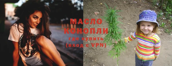 крисы Коряжма