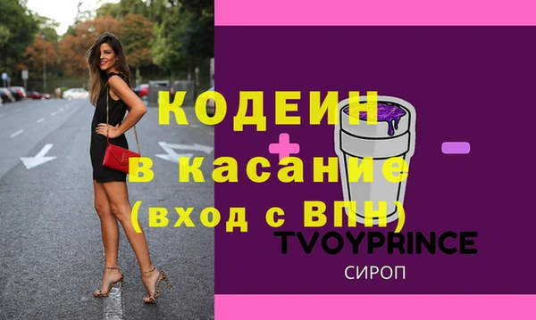крисы Коряжма