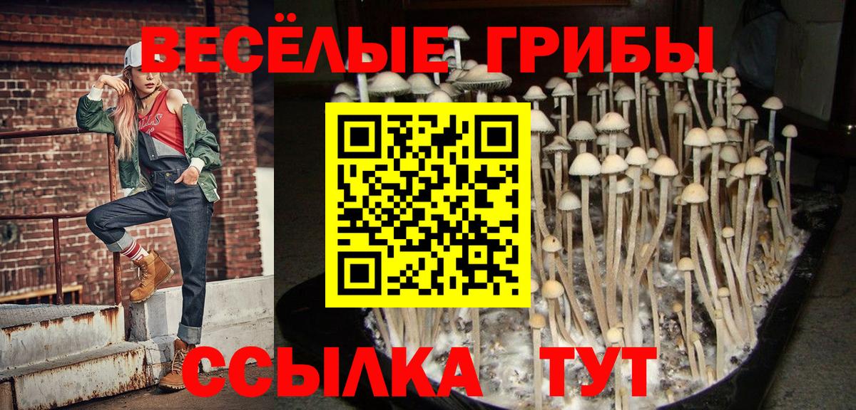 Псилоцибиновые грибы Cubensis  Галлюциногенные грибы ЛСД  Белореченск 