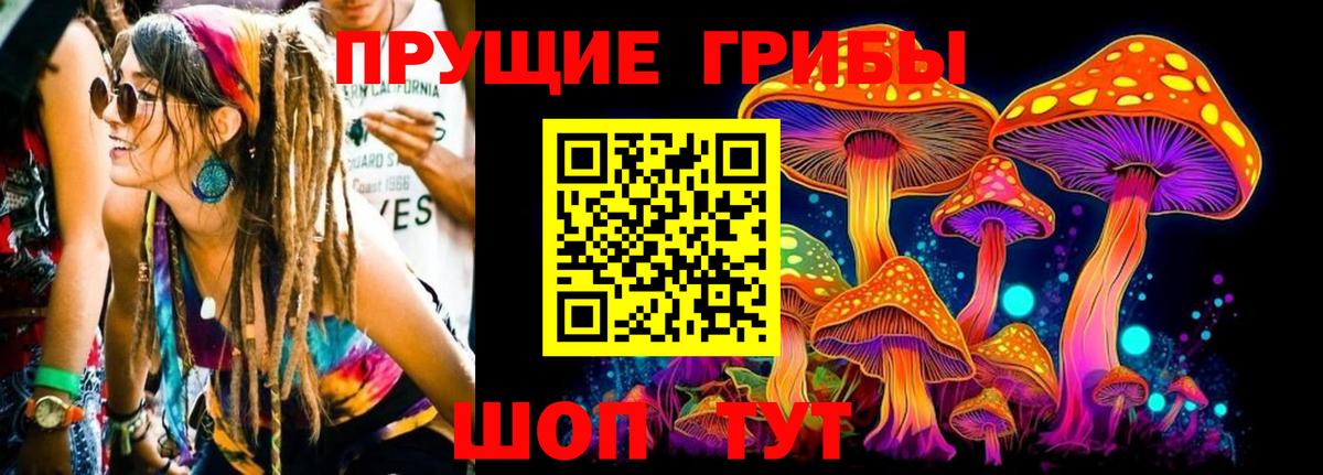 Псилоцибиновые грибы GOLDEN TEACHER  Галлюциногенные грибы Cubensis  Вход с VPN  Белореченск 